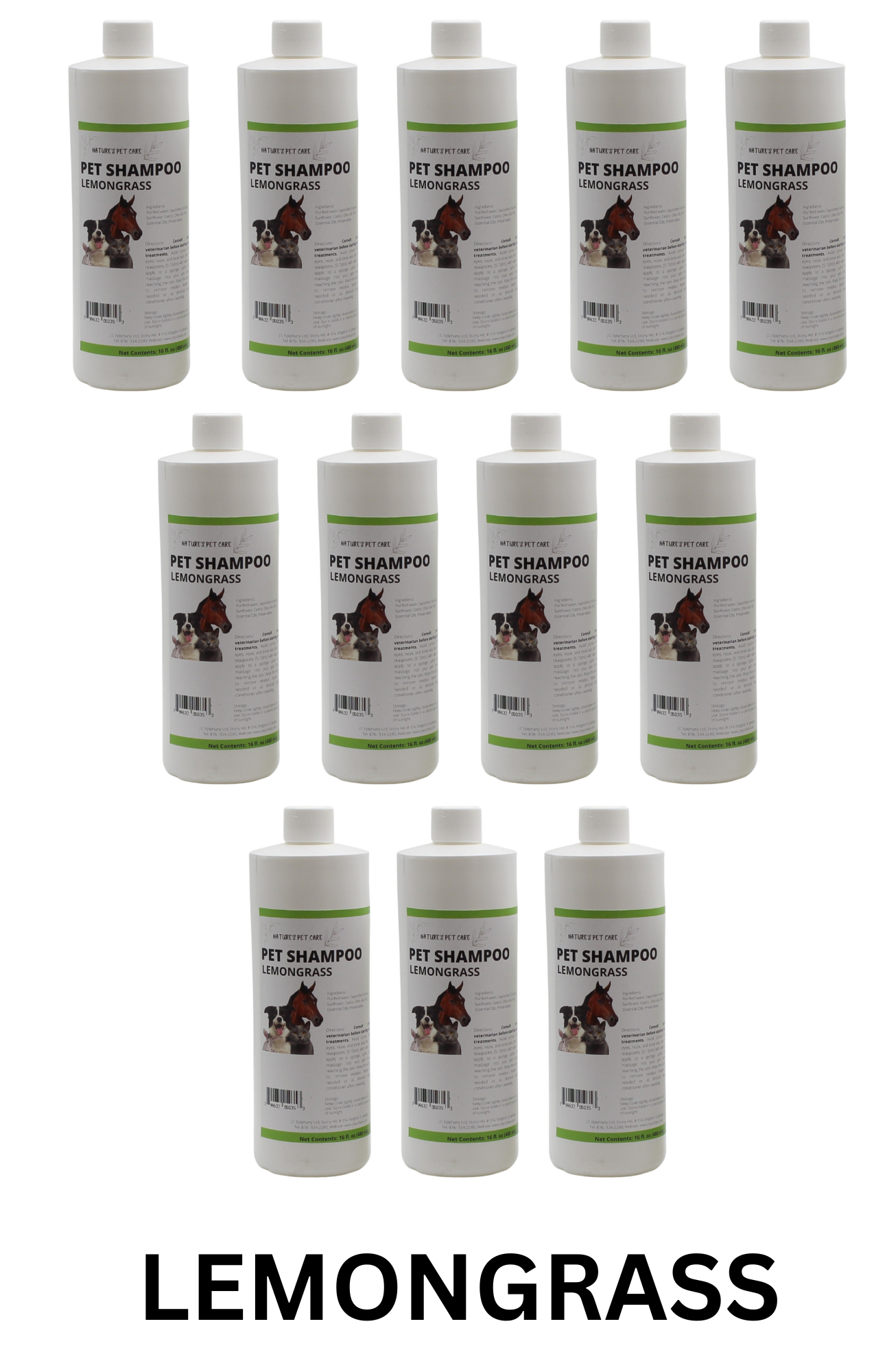 Wholesale Natural Pet Shampoo - Lot of 12 Units | Eco-Friendly Castile Dog, Cat and Pet Shampoo
