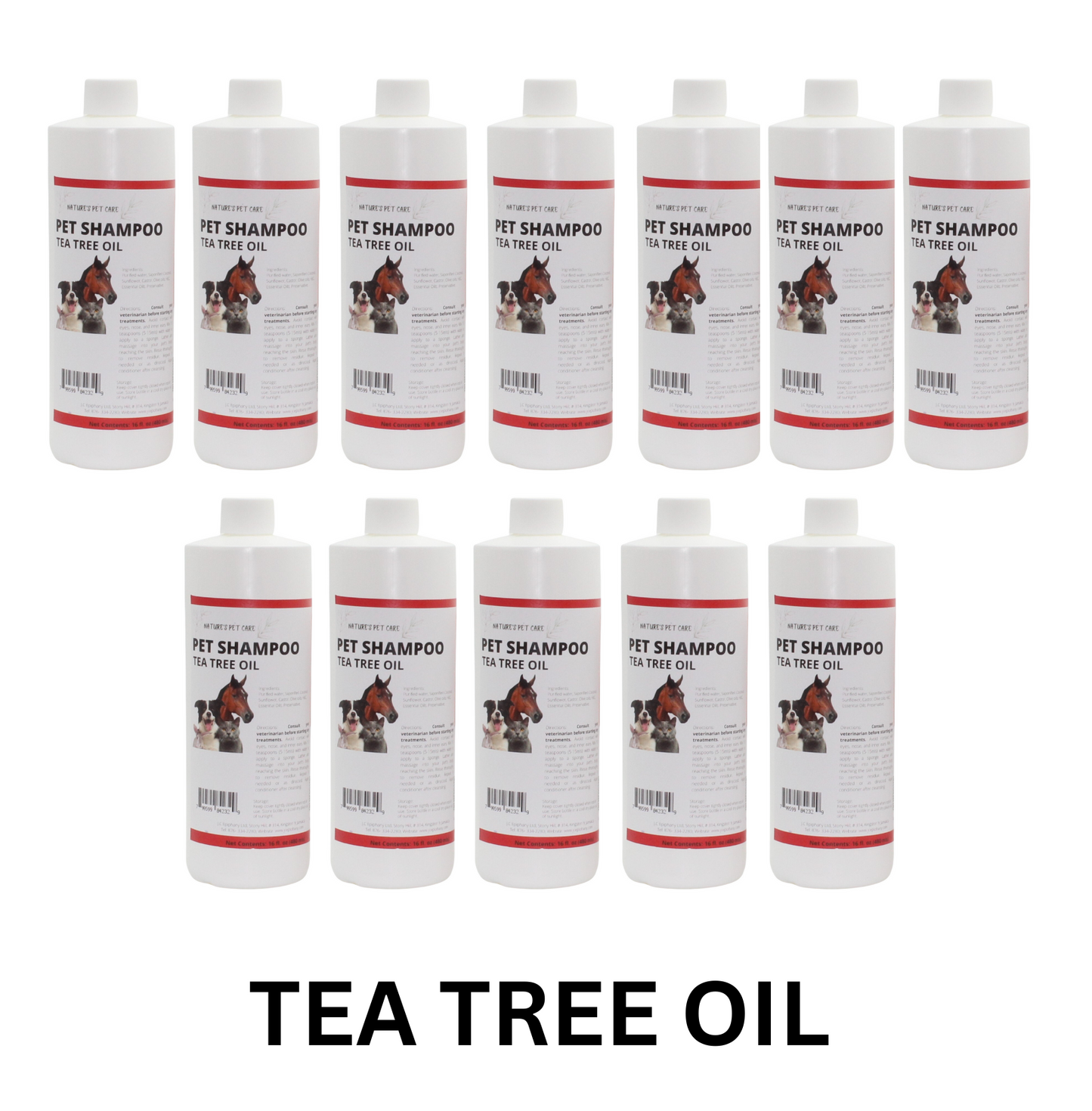 Wholesale Natural Pet Shampoo - Lot of 12 Units | Eco-Friendly Castile Dog, Cat and Pet Shampoo