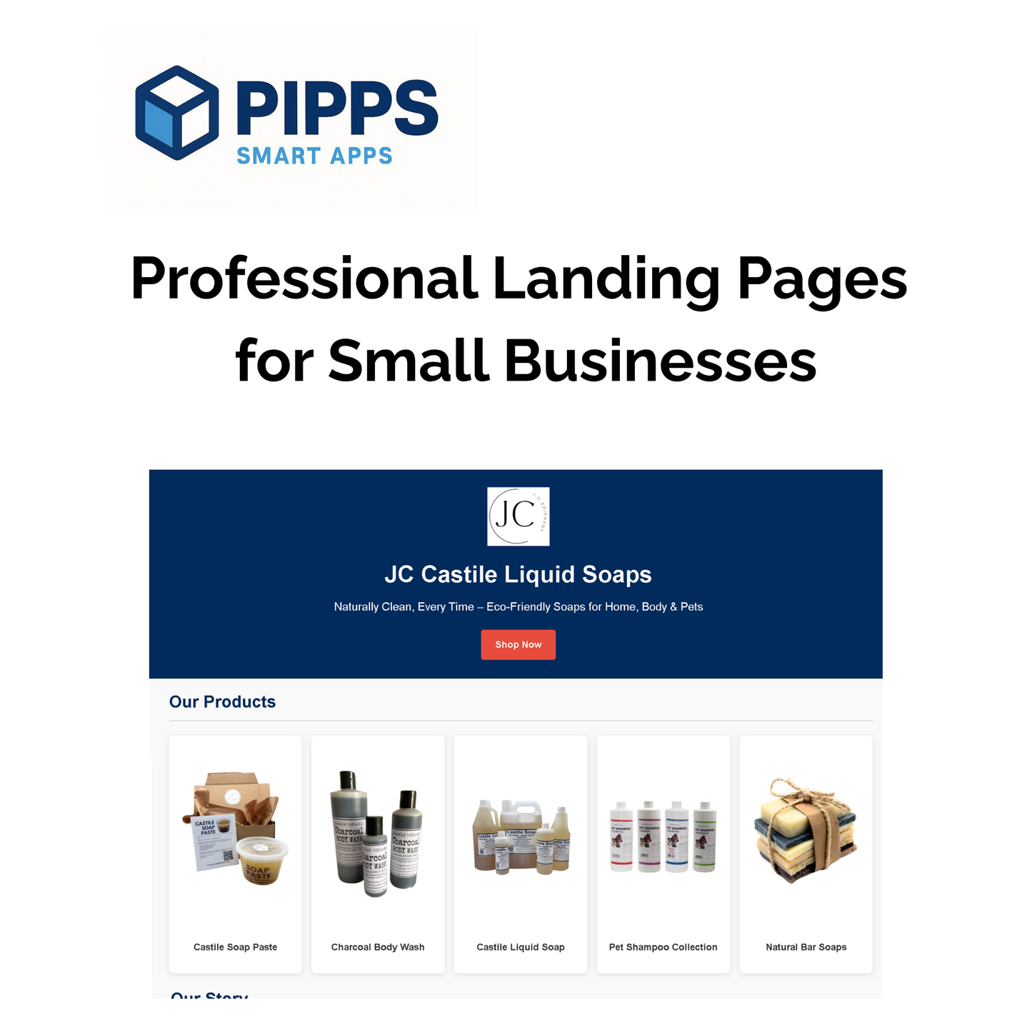 Professional Landing Page Service (Design + Hosting)